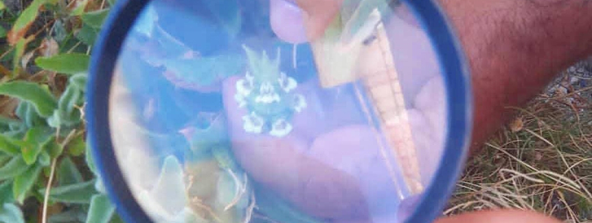 Burhaniye Ticaret Odası