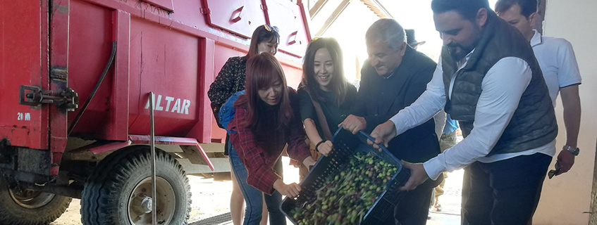 Burhaniye Ticaret Odası